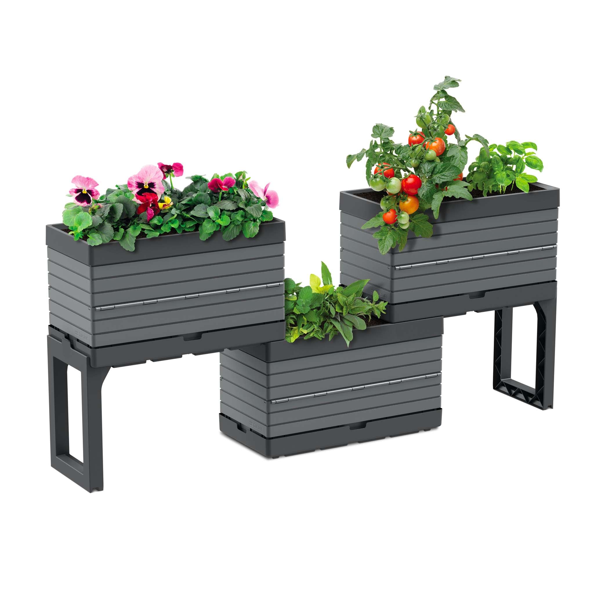 Raised garden – Garant