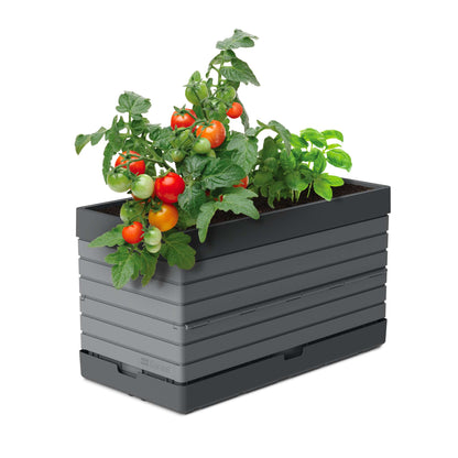 Modular Garden Starter Kit