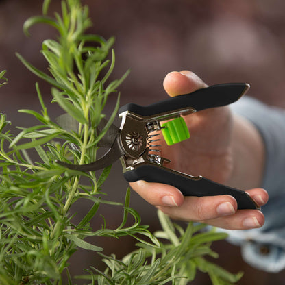 Ensemble d'outils pour jardinage en contenant