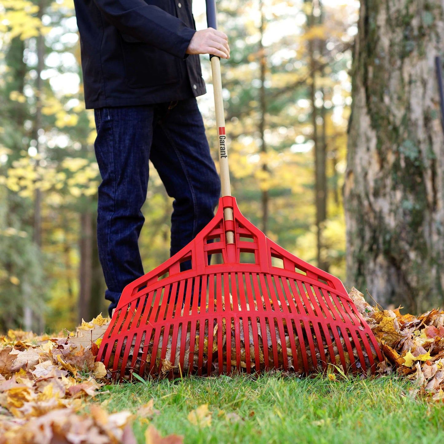Poly leaf rake