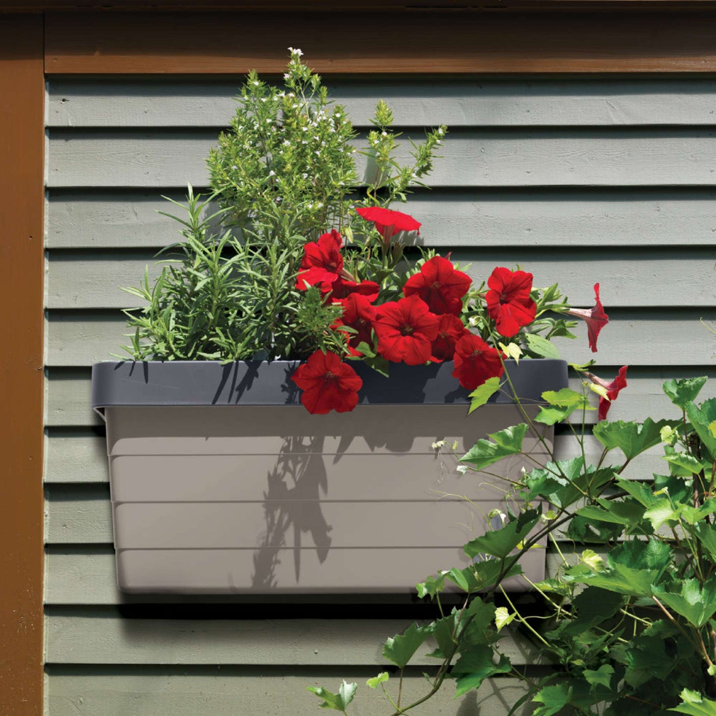 Starter kit 16" hanging garden