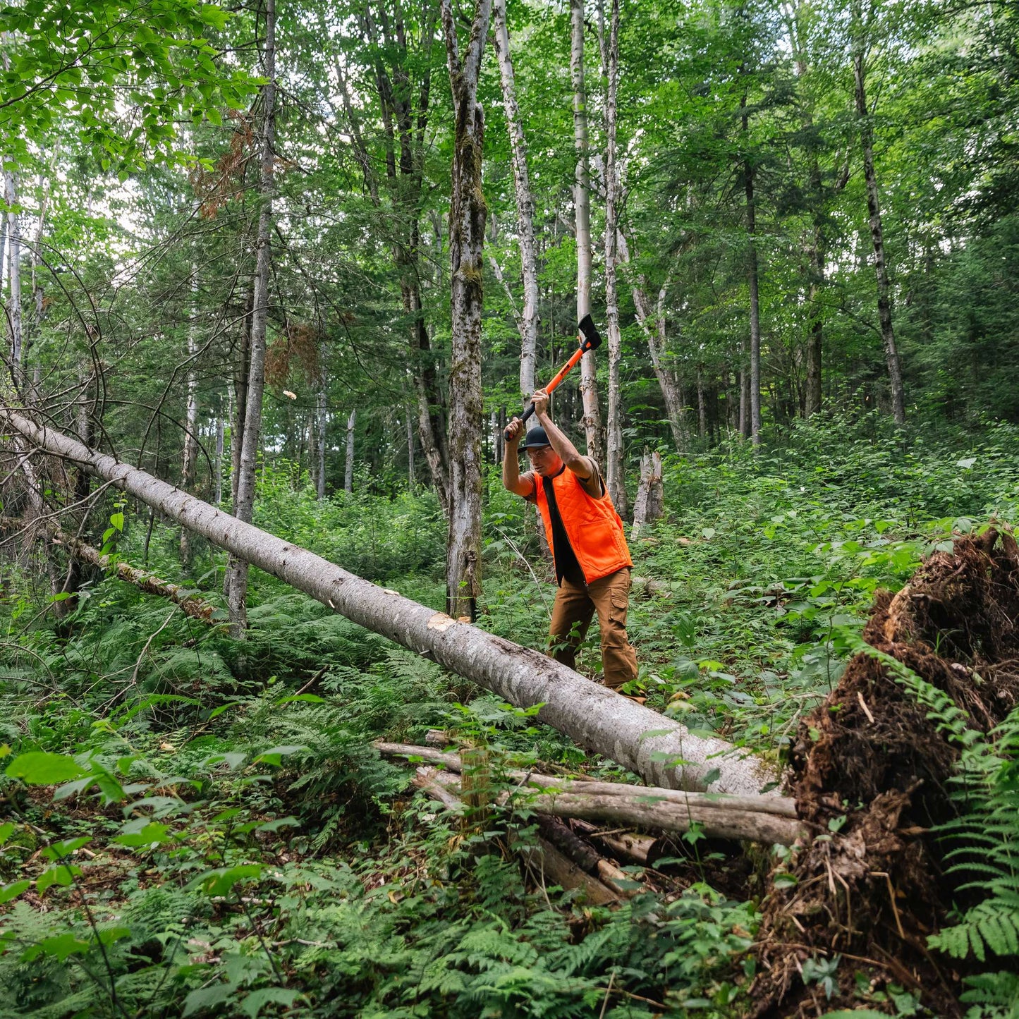 6 lbs splitting maul with fiberglass handle