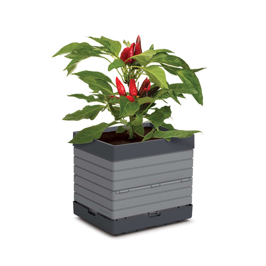 Bac individuel gris, 14x11x13", polypro, jardin mod.M3