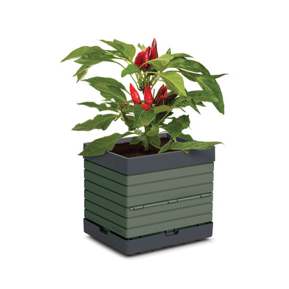 Individual bin, 14x11x13", polypro green M3 modular garden