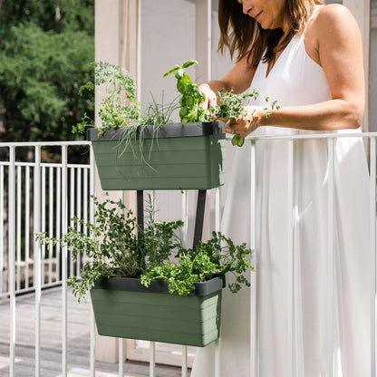 Ensemble de départ jardin suspendu 16 pouces