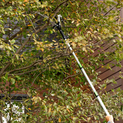 Élagueur compact 9 pied