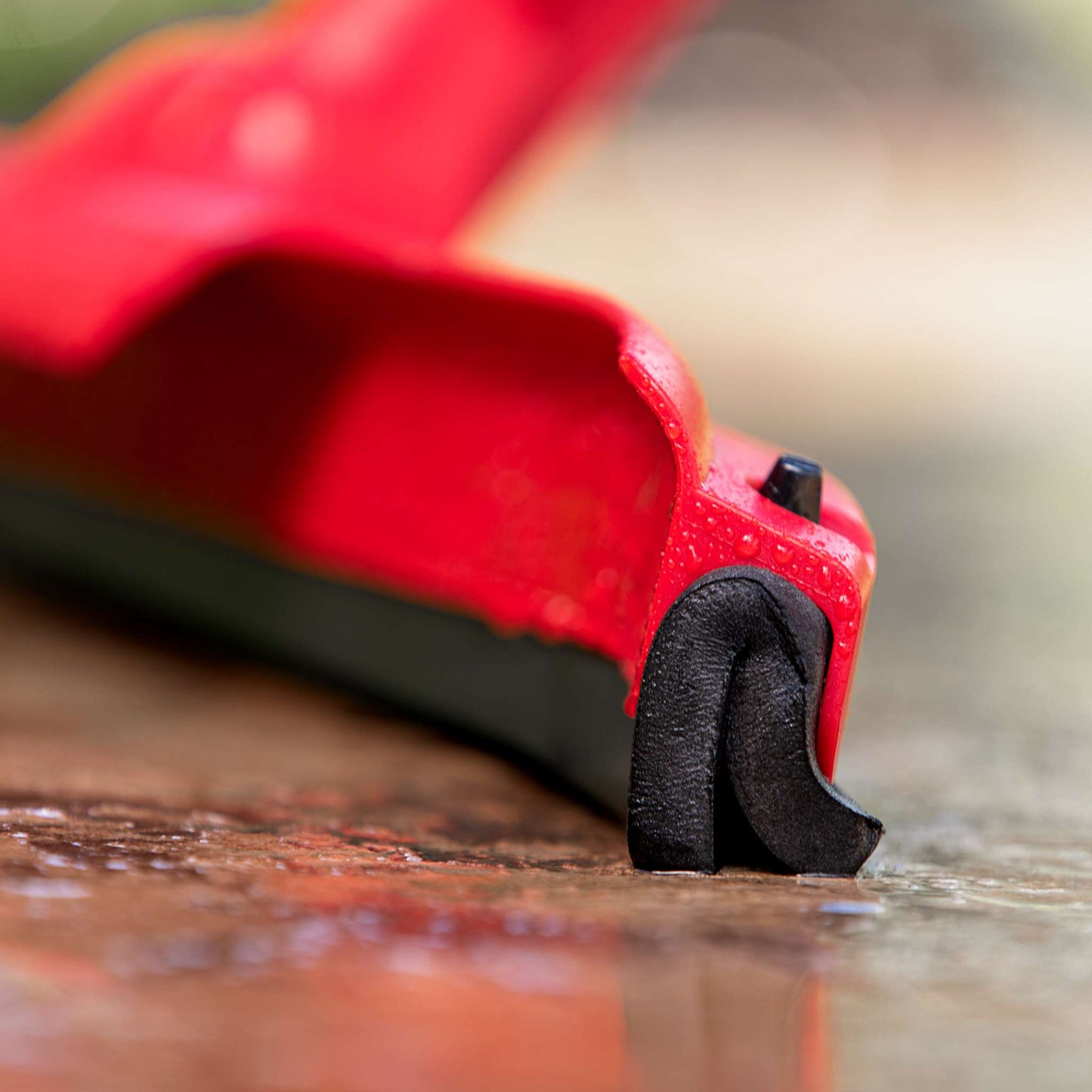22" Curved Foam Squeegee with Scraper