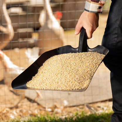 Hardened Steel Grain and Coal Scoop with Long Handle