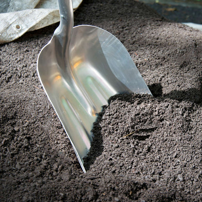 Pelle à grains avec lame en aluminium et poignée en D