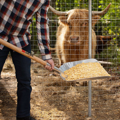 Aluminum Grain Scoop with Long Handle