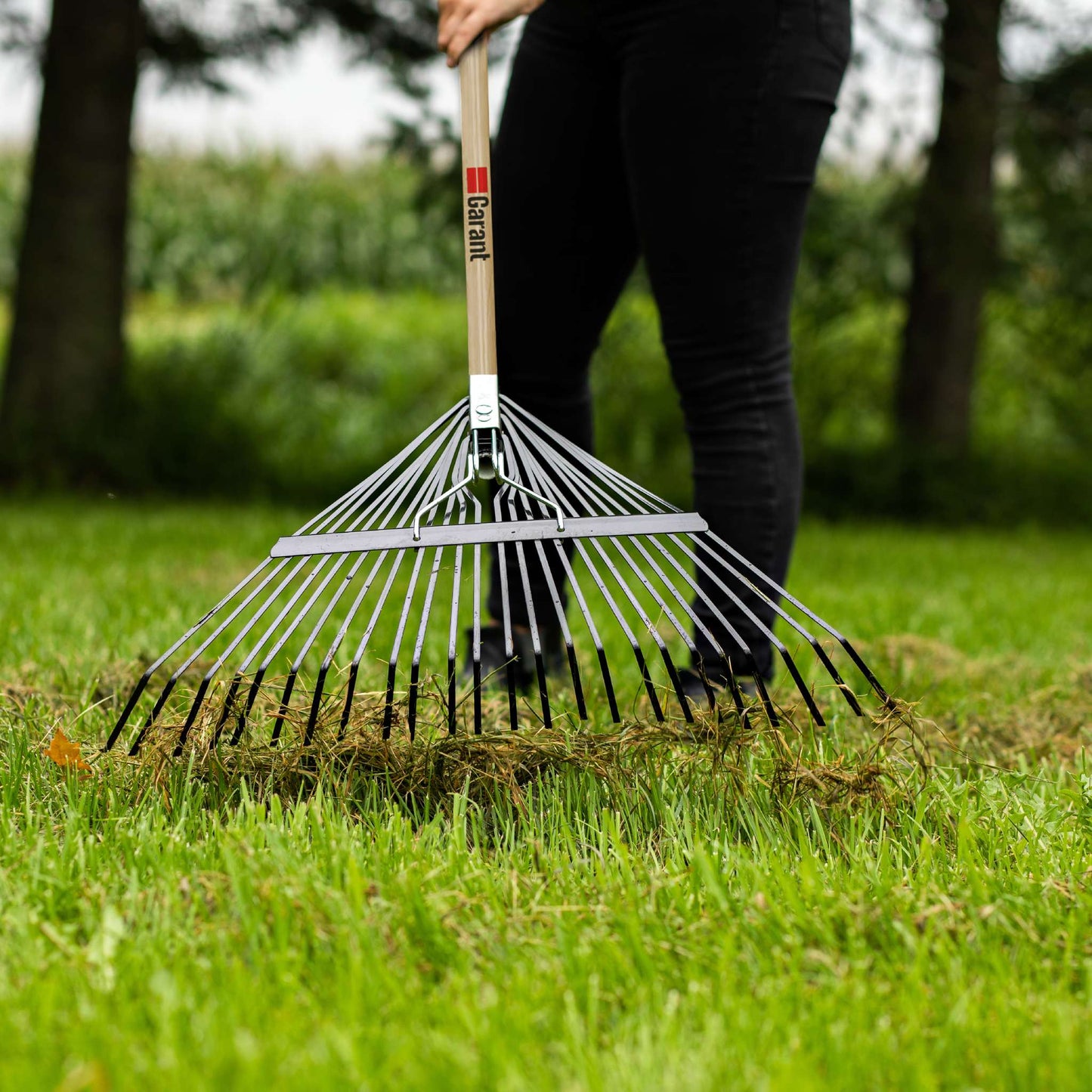 Lawn Rake
