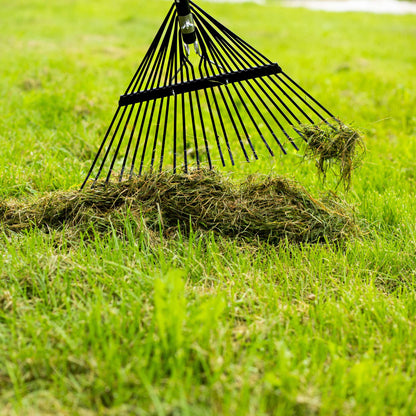 Lawn Rake
