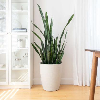 17" Momoka Planter with Stone-Texture Finish