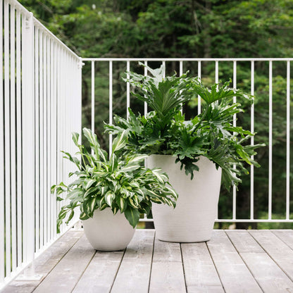 17" Momoka Planter with Stone-Texture Finish