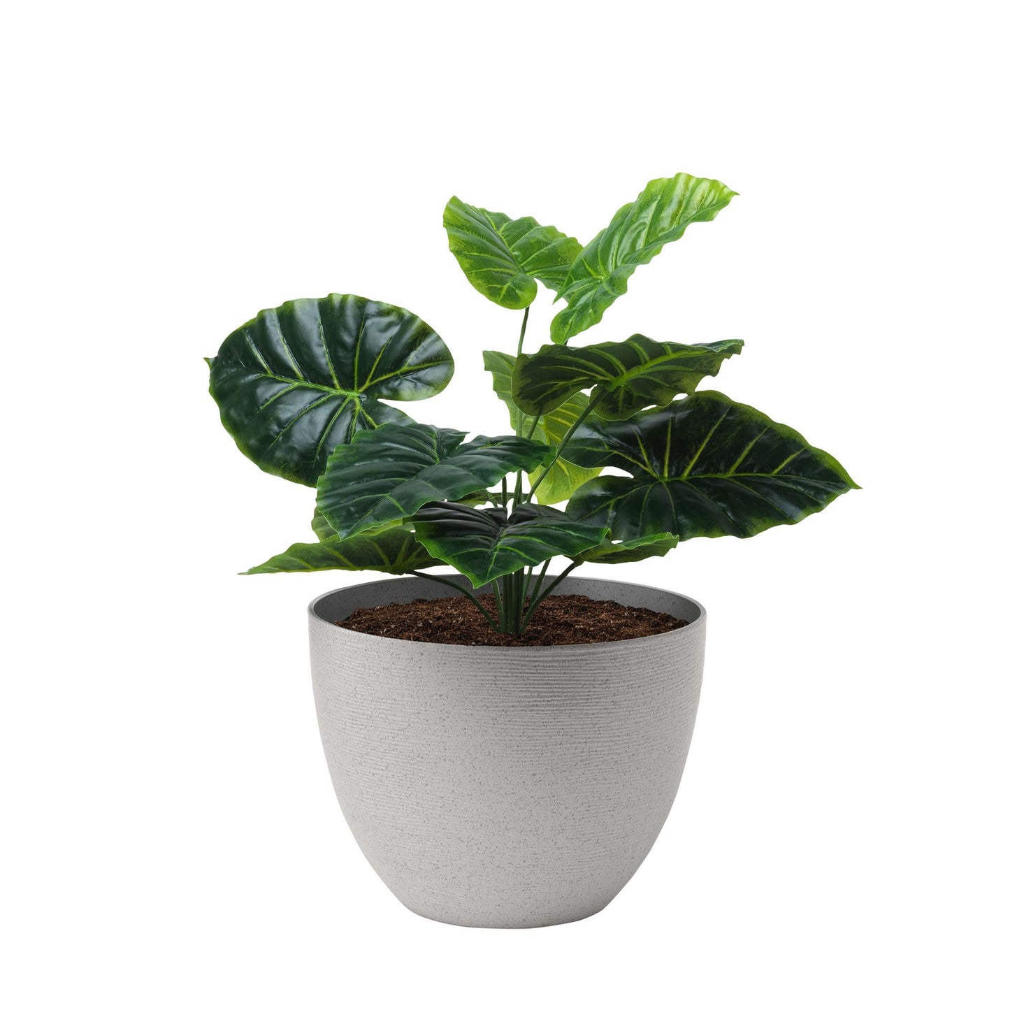 Jardinière Momoka 12 po à texture imitation pierre