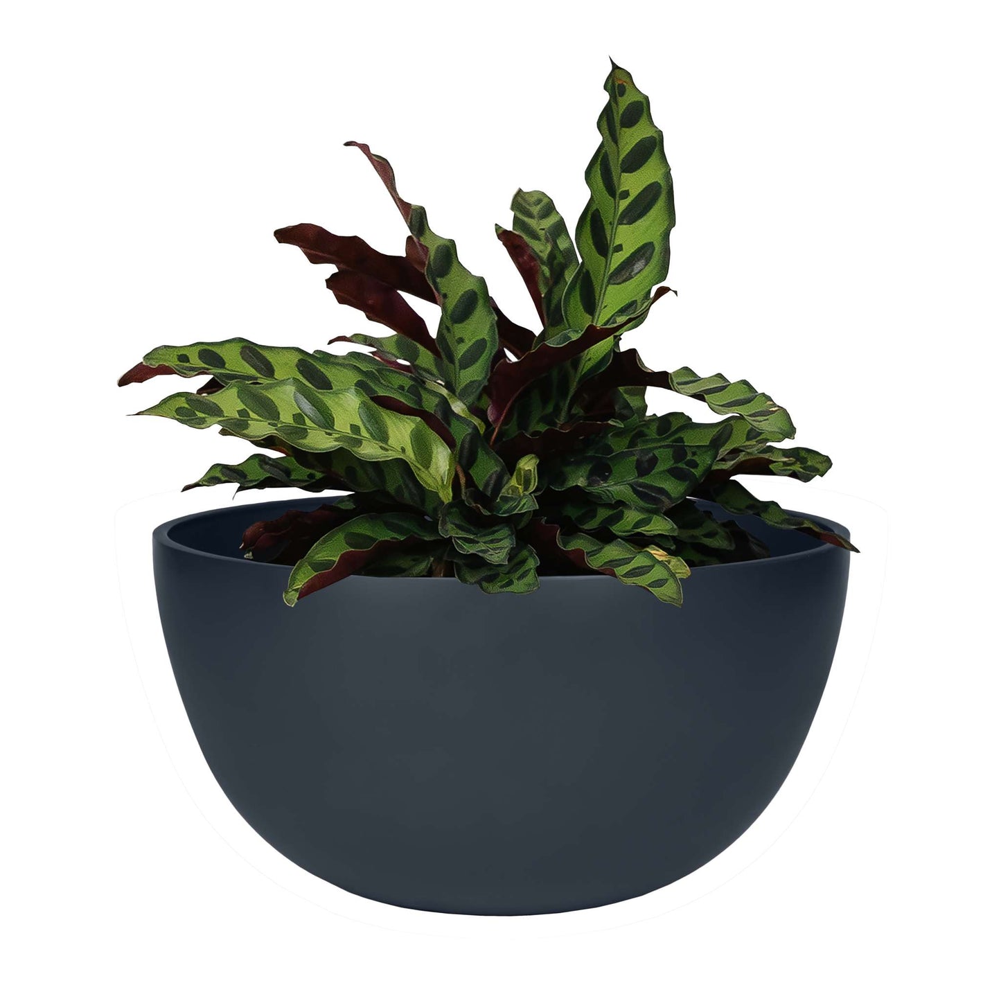 Jardinière urbaine 12 po avec fini mat