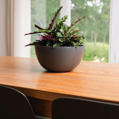 Jardinière urbaine 12 po avec fini mat