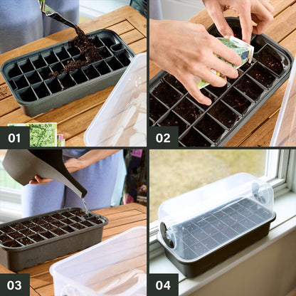 Seed Starter Tray