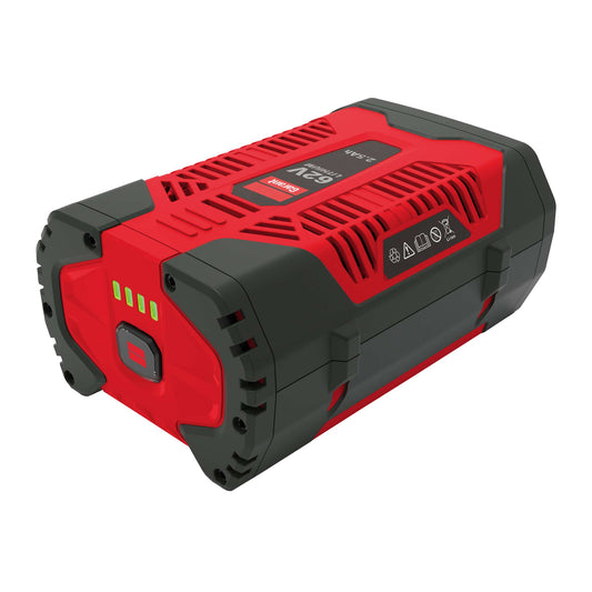 Batterie lithium-ion rechargeable 62V 2,5 Ah