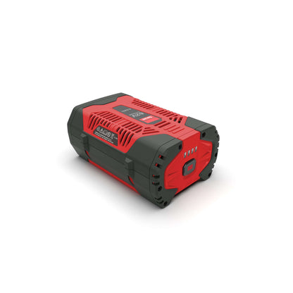 Batterie lithium-ion rechargeable 62V 4,0 Ah