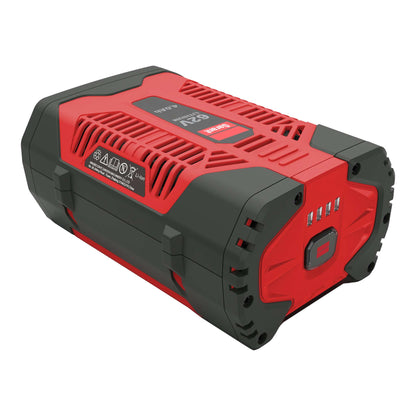Batterie lithium-ion rechargeable 62V 4,0 Ah