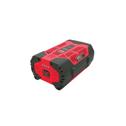 Batterie lithium-ion rechargeable 62V 4,0 Ah