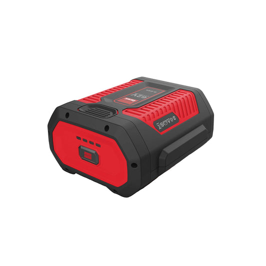 Batterie lithium-ion rechargeable 62V 8,0 Ah