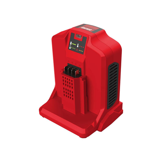 Chargeur 62V, 300W