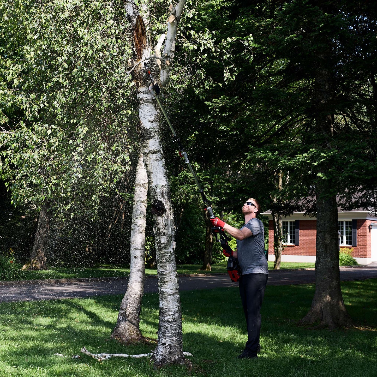 10'' Pole Saw Attachment