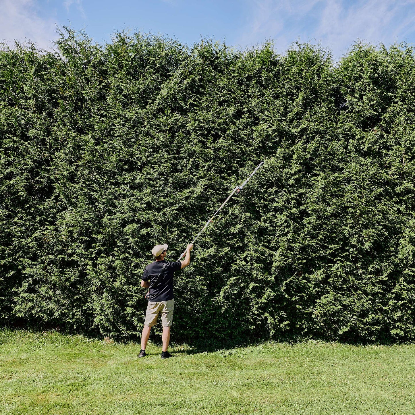 Accessoire taille-haie de 20 po