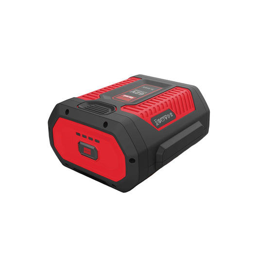 Batterie lithium-ion rechargeable 62V 5,0 Ah