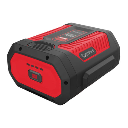 Batterie lithium-ion rechargeable 62V 5,0 Ah