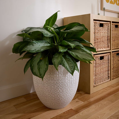 16’’ Riley Planter with fine line stone effect