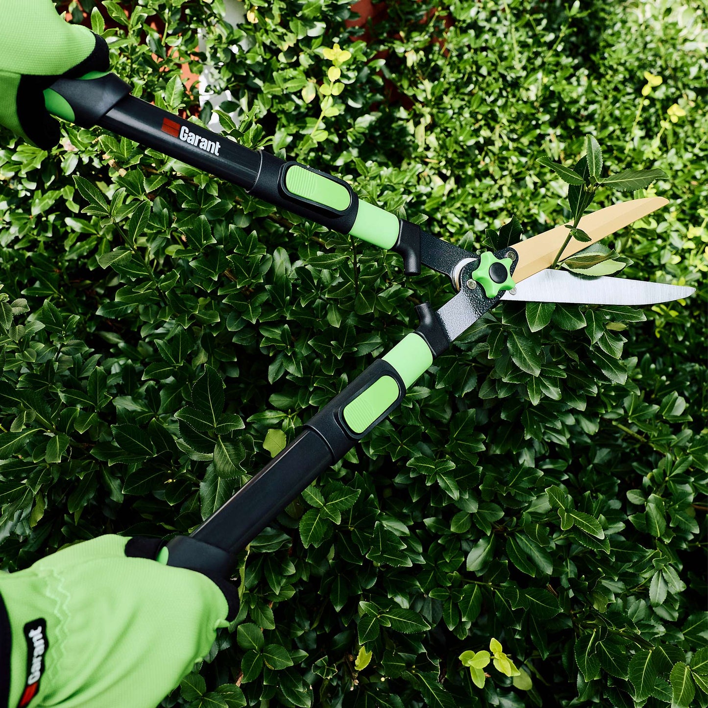 Cisaille à haies télescopique en titanium