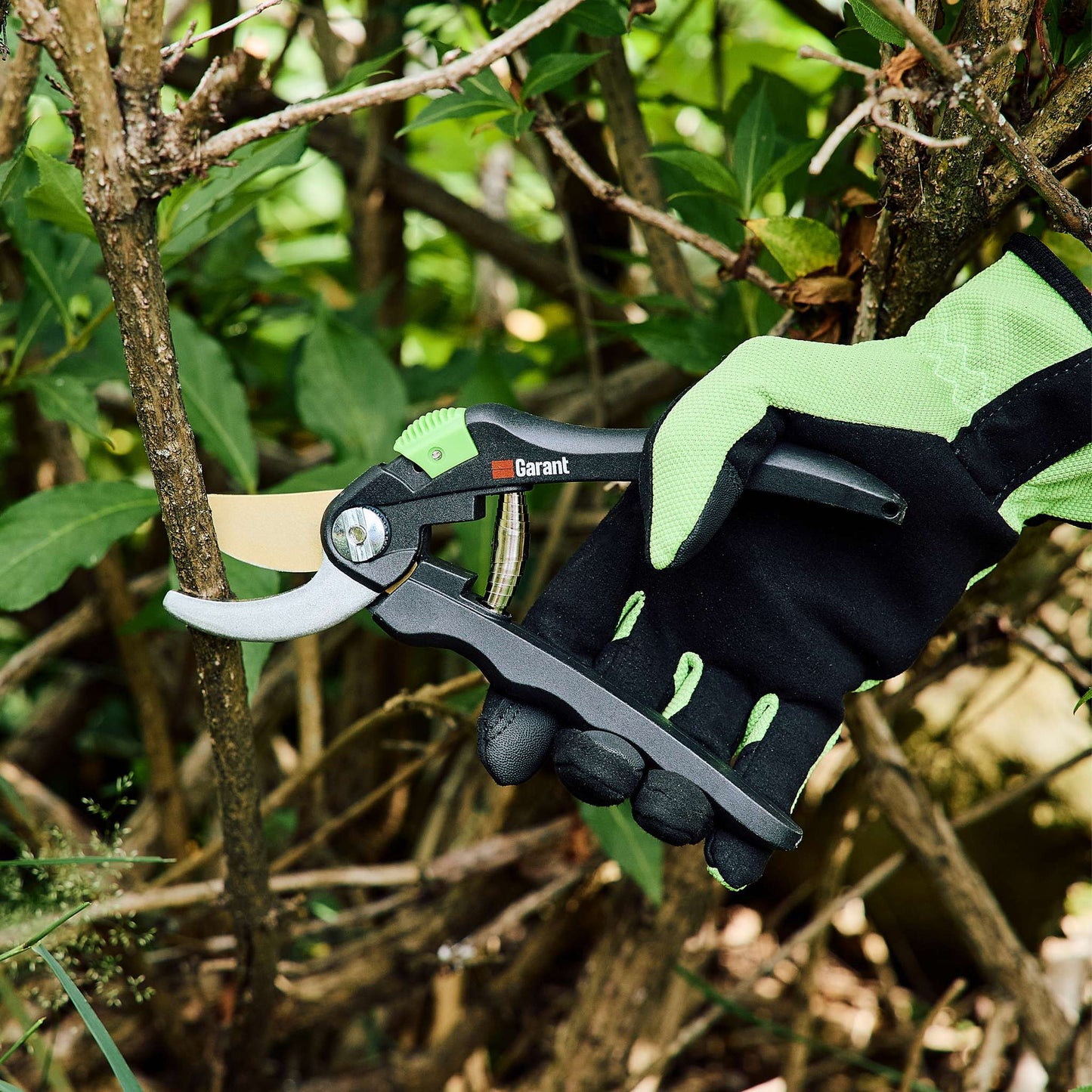 Titanium Cutting Tools Set