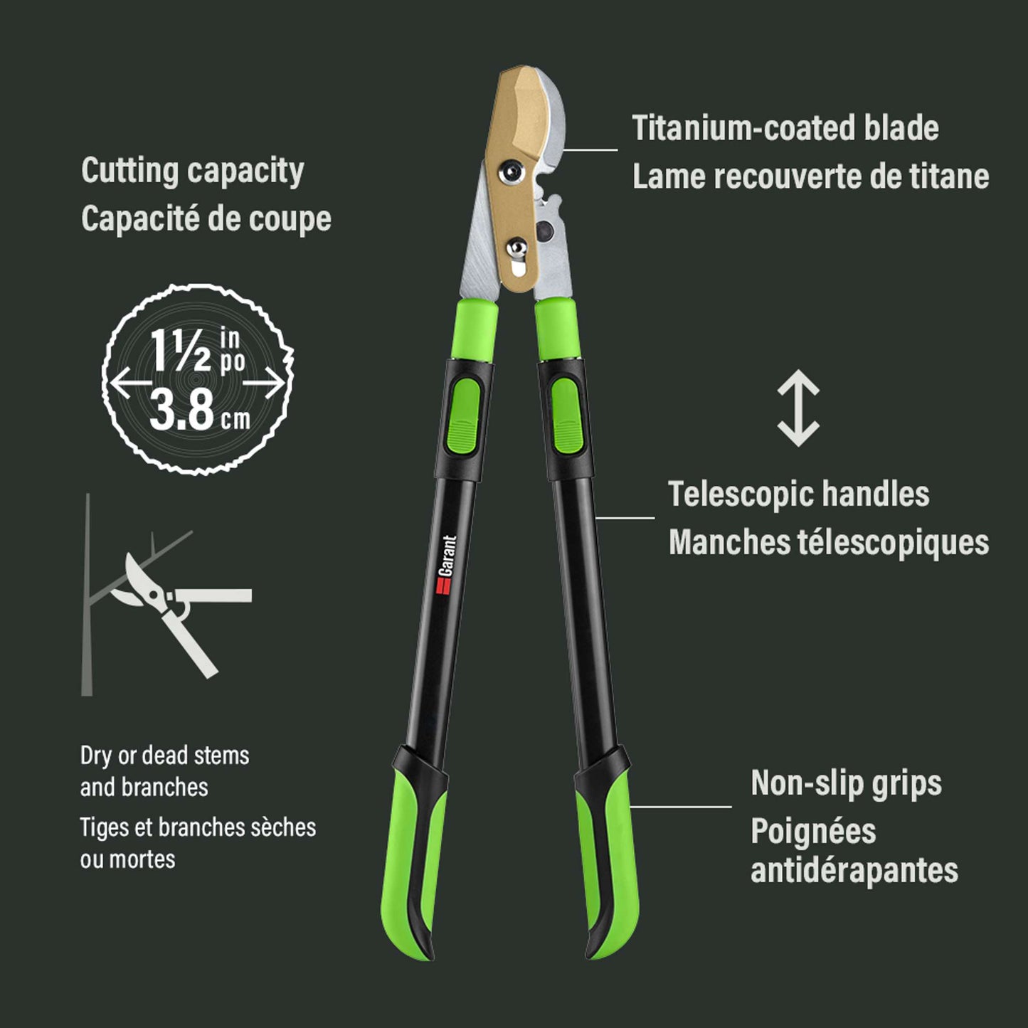 Coupe-branches télescopique en titanium