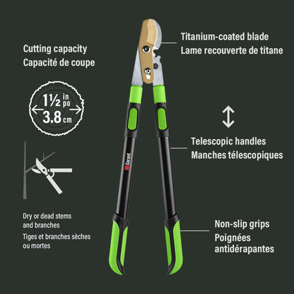 Coupe-branches télescopique en titanium