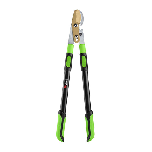 Coupe-branches télescopique en titanium