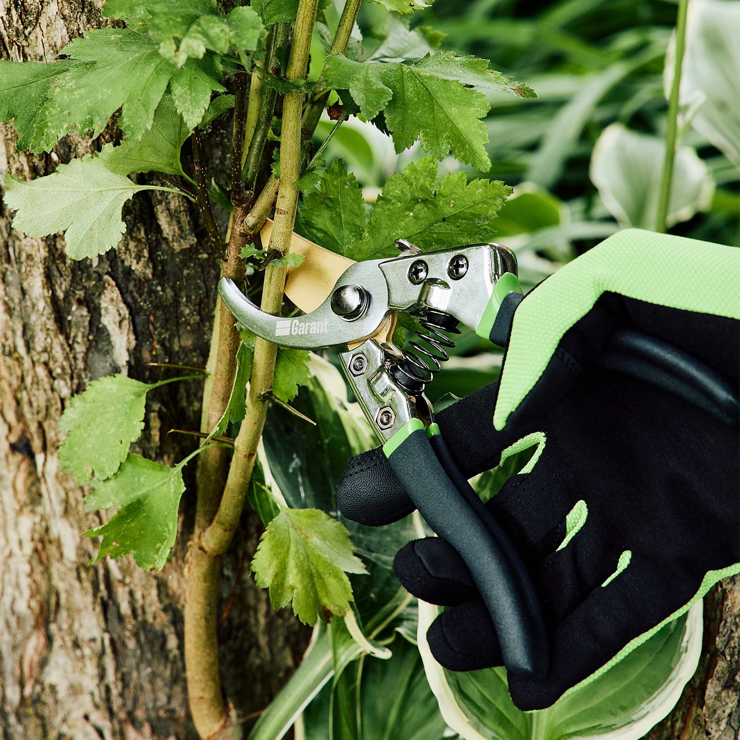 Sécateur à contre-lame en Titanium