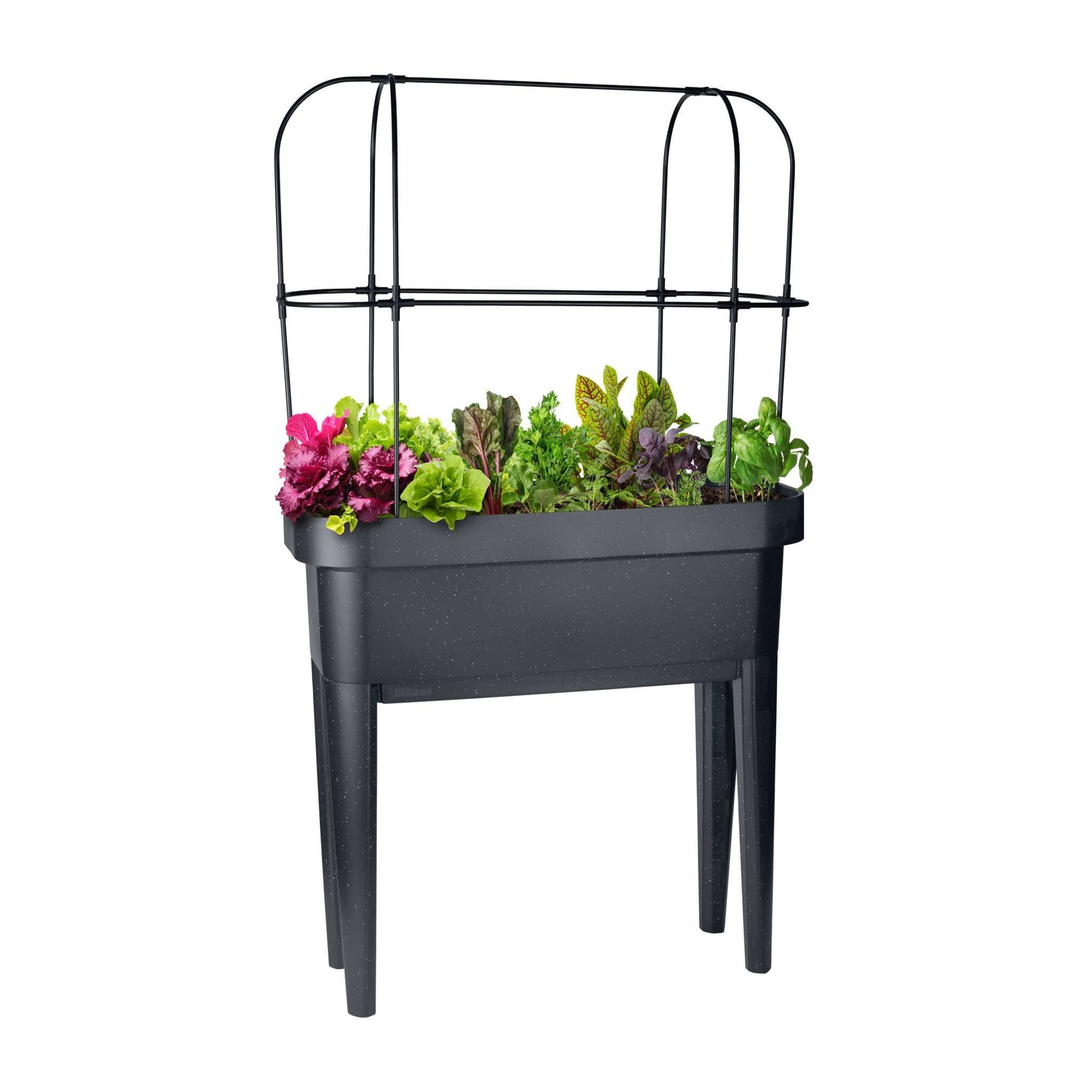 Raised garden bed with trellis and self-watering system