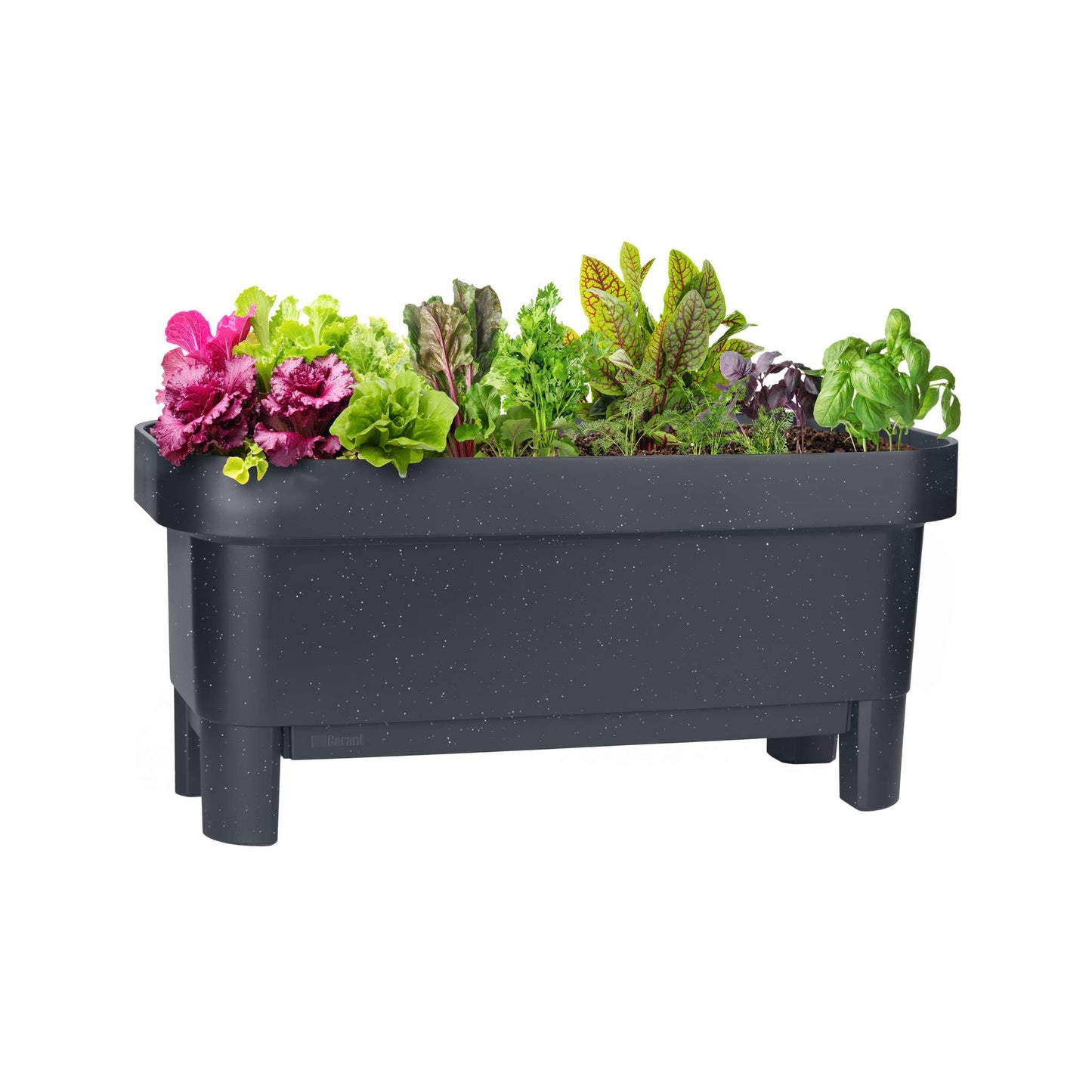 Raised garden bed with trellis and self-watering system