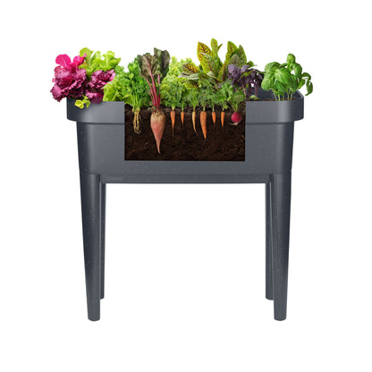 Raised garden bed with trellis and self-watering system