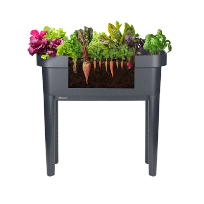 Raised garden bed with trellis and self-watering system
