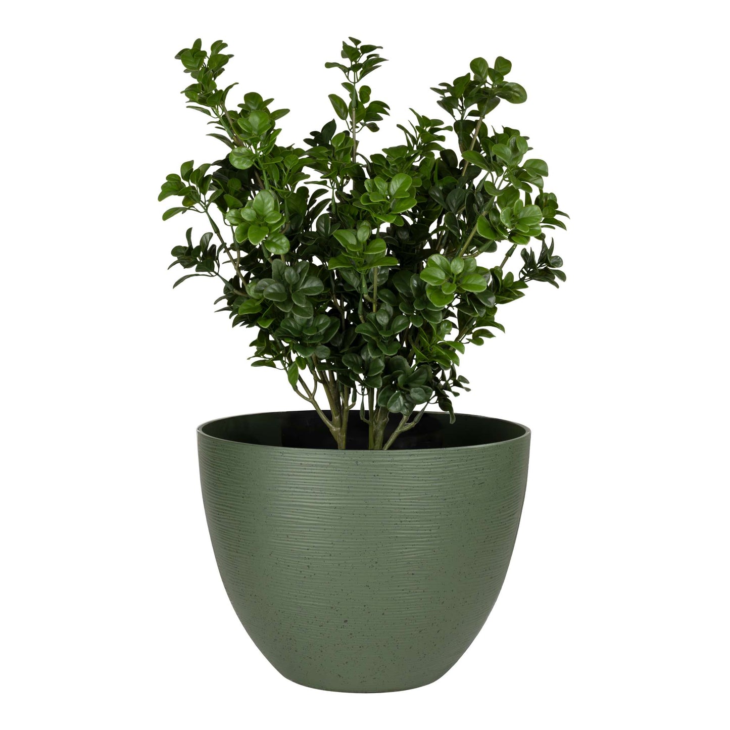 12" Momoka Planter with Stone-Effect Finish