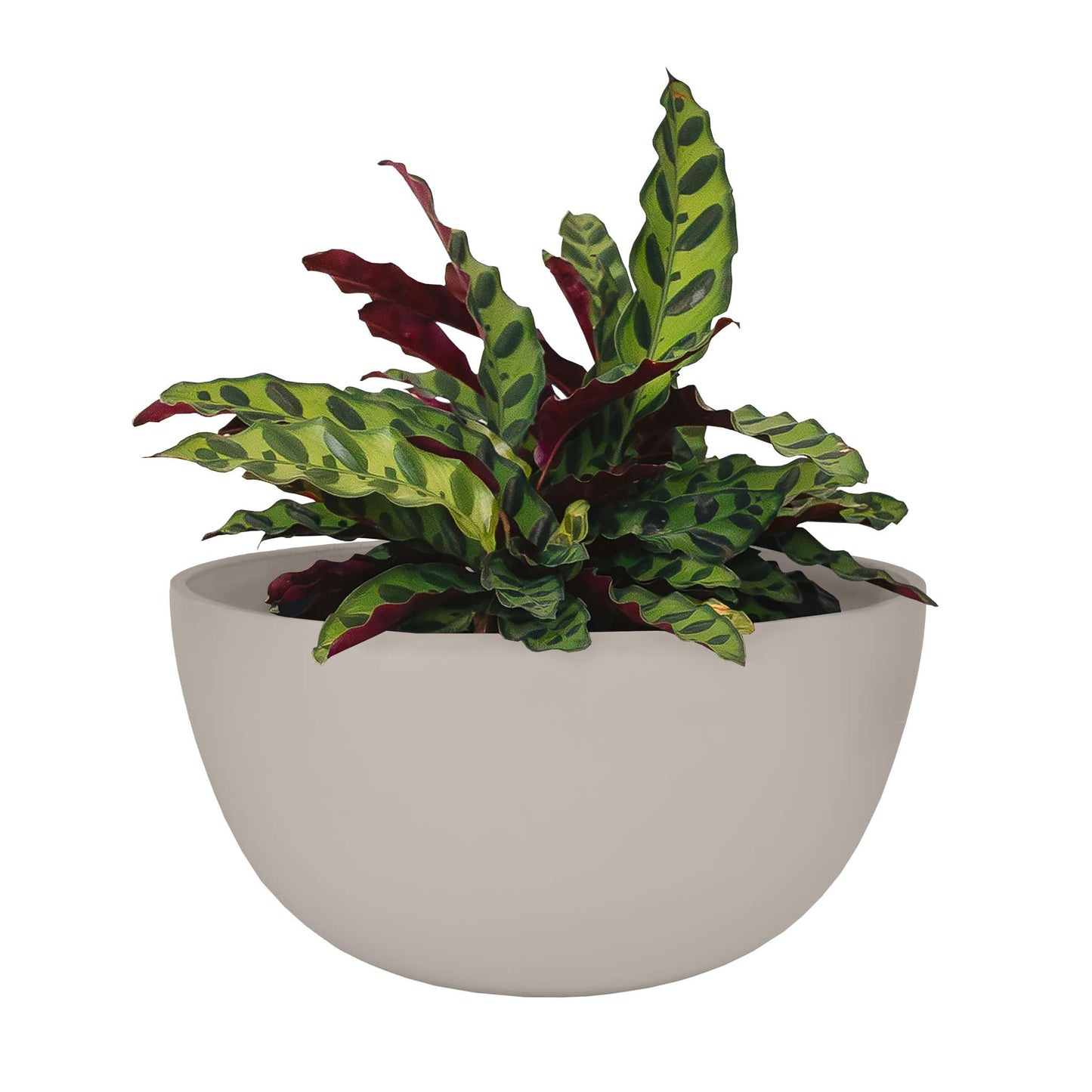 12" Urban Planter with Matte Finish