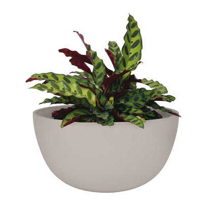 12" Urban Planter with Matte Finish