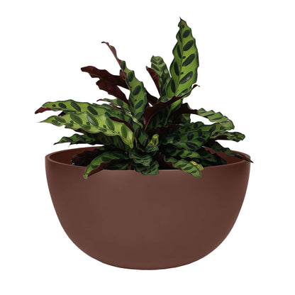 12" Urban Planter with Matte Finish
