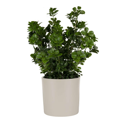 6.5" Cylindrical Urban Linear Planter with stone-effect speckled finish