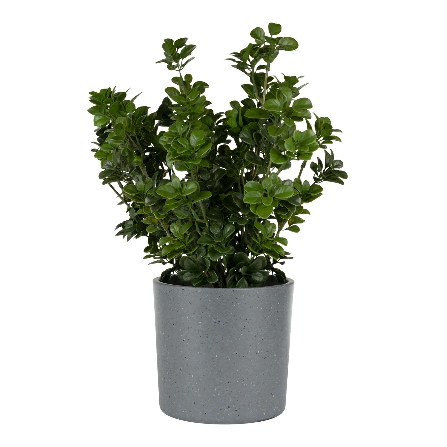 6.5" Cylindrical Urban Linear Planter with stone-effect speckled finish