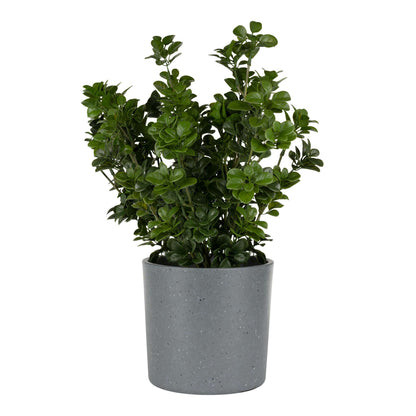 6.5" Cylindrical Urban Linear Planter with stone-effect speckled finish